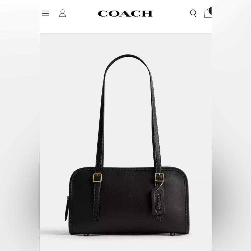 NWT Coach Swing Zip Bag with Gold Hardware viral bag